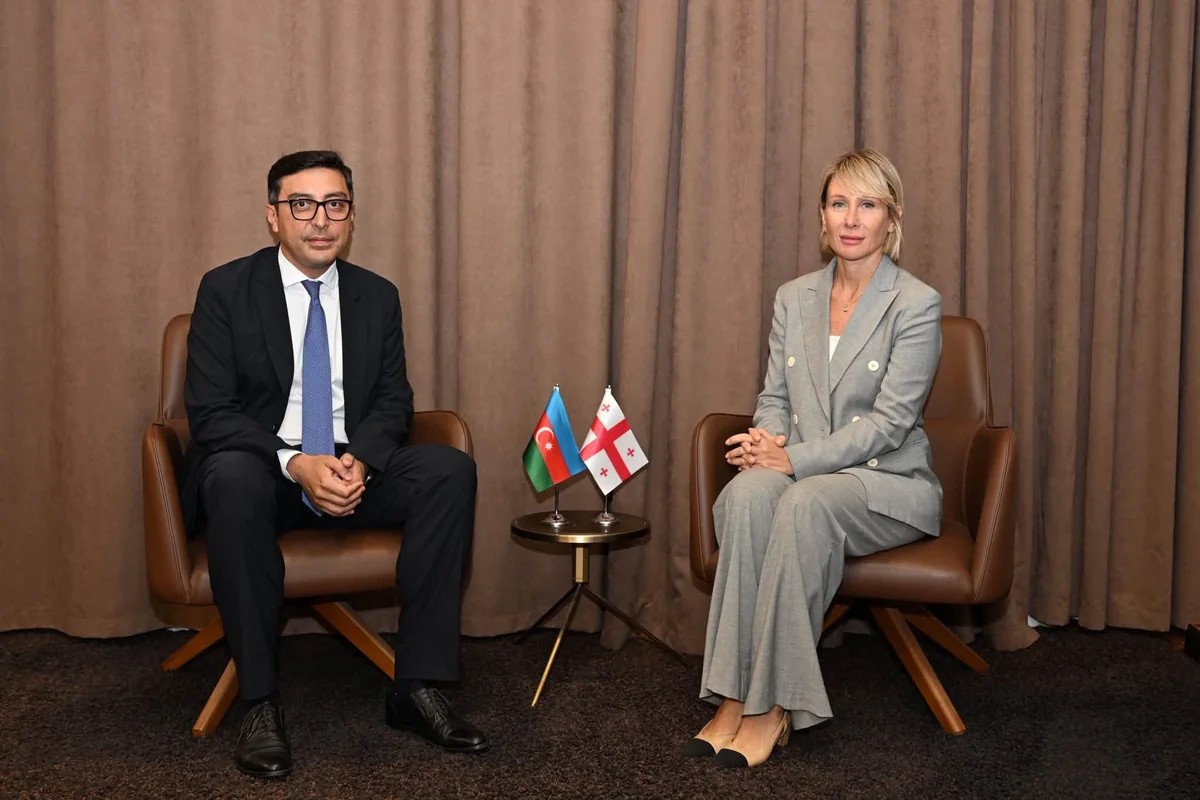 Azərbaycan və Gürcüstan arasında idman sahəsində əməkdaşlıq müzakirə olunub