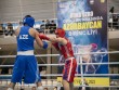 Gənc boksçuların Azərbaycan birinciliyinə yekun vuruldu