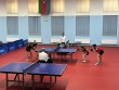 Stolüstü tennisçilərin Azərbaycan çempionatı yekunlaşdı
