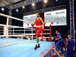 Daha bir boksçumuz Avropa çempionatının bürünc medalını təmin edib