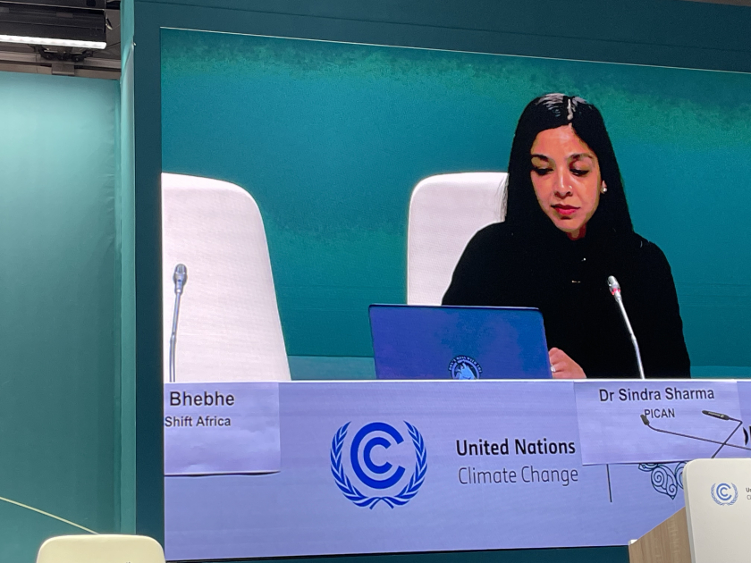 COP29-da neft hasilatının ətraf mühitə təsiri tendensiyasının dəyişməsi mövzusu müzakirə olunub