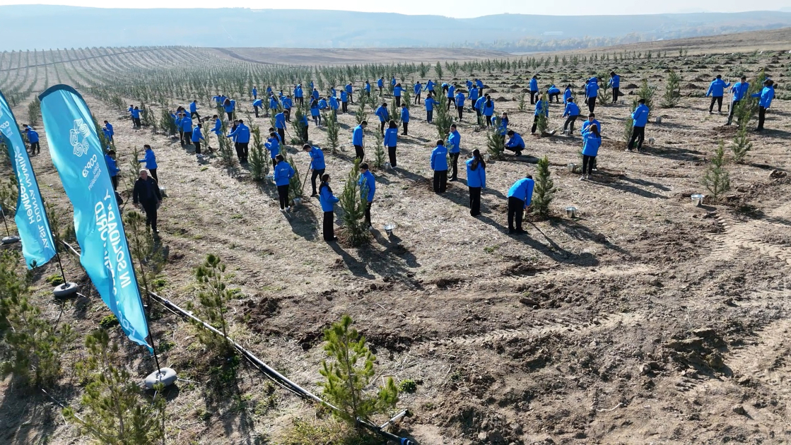 COP29-da birinci xanımların iştirakı ilə &ldquo;Gənclər iqlimfəaliyyətlərinin ön cəbhəsində&rdquo; mövzusunda konfrans keçirilib