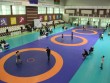U-15 güləşçilər Masallıda medallar uğrunda yarışdılar