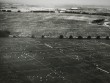 Eyni vaxtda 111 futbol matçı - Bir şəklin tarixçəsi&nbsp;