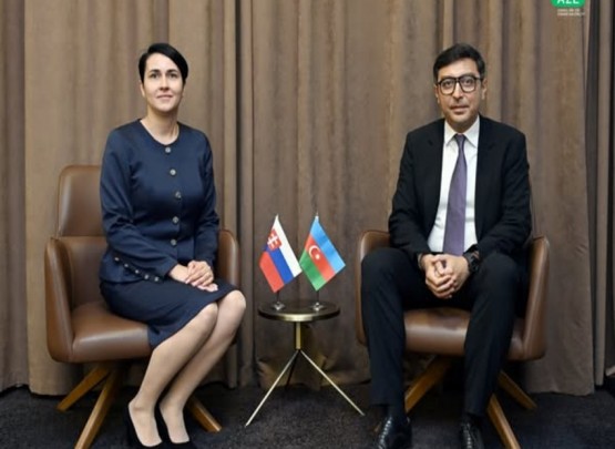 &nbsp;Fərid Qayıbov Slovakiyanın idman məsələləri üzrə dövlət katibi ilə görüşüb