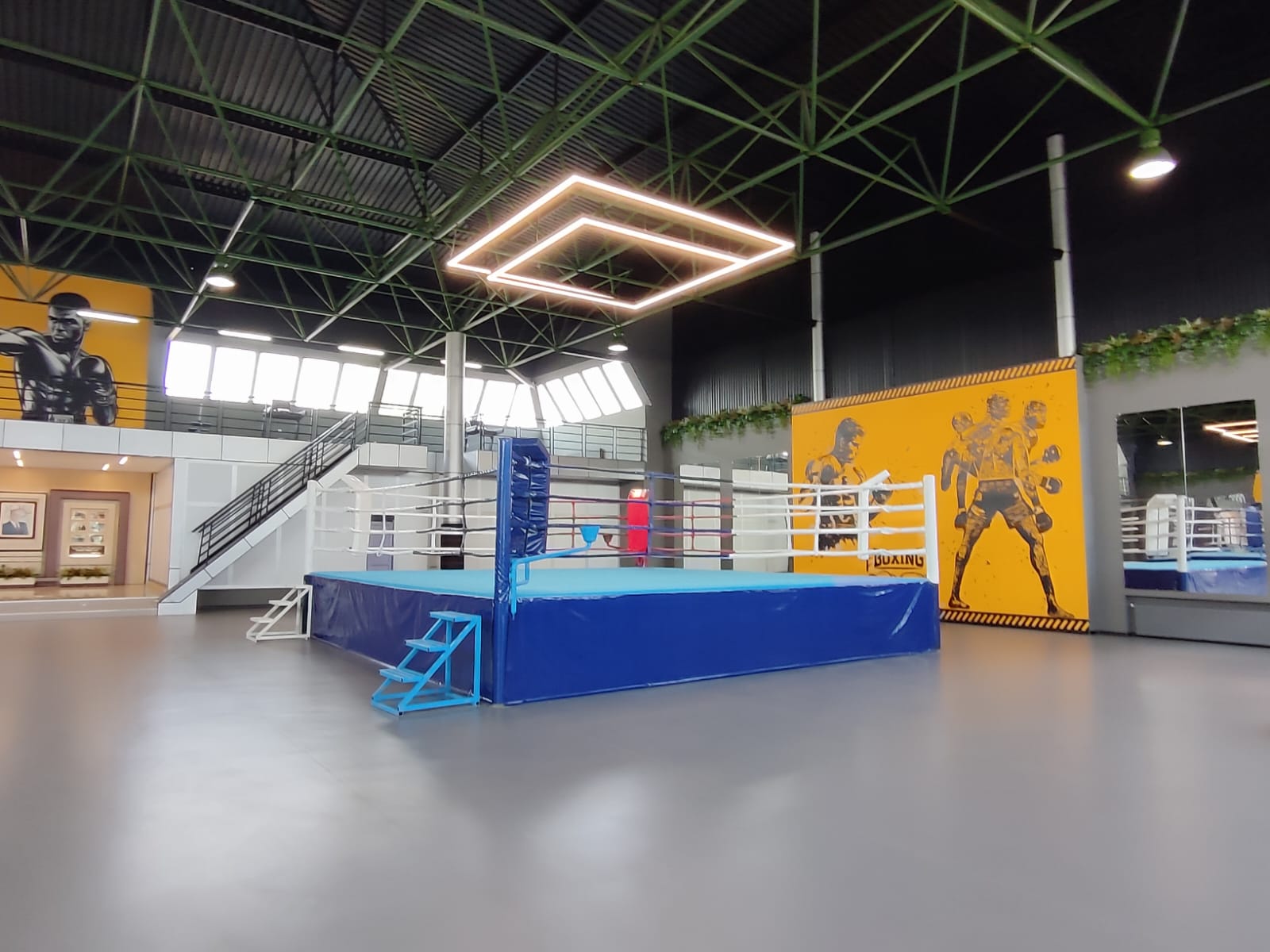 Lənkəranda Cənub Regional Boks Mərkəzinin açılış mərasimi keçirilib - FOTO