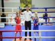 13 boksçumuz Avropa birinciliyinin finalında&nbsp;
