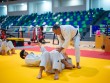 Cüdoçularımız təlim-məşq toplanışında iştirak edirlər - FOTO
