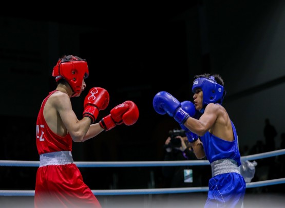 24 boksçumuz MDB Oyunlarının bürünc medalını təmin edib&nbsp;