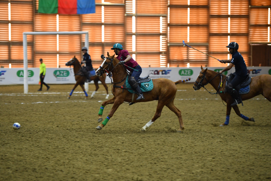 Peşəkar Çövkən Liqasının qalibi müəyyənləşib