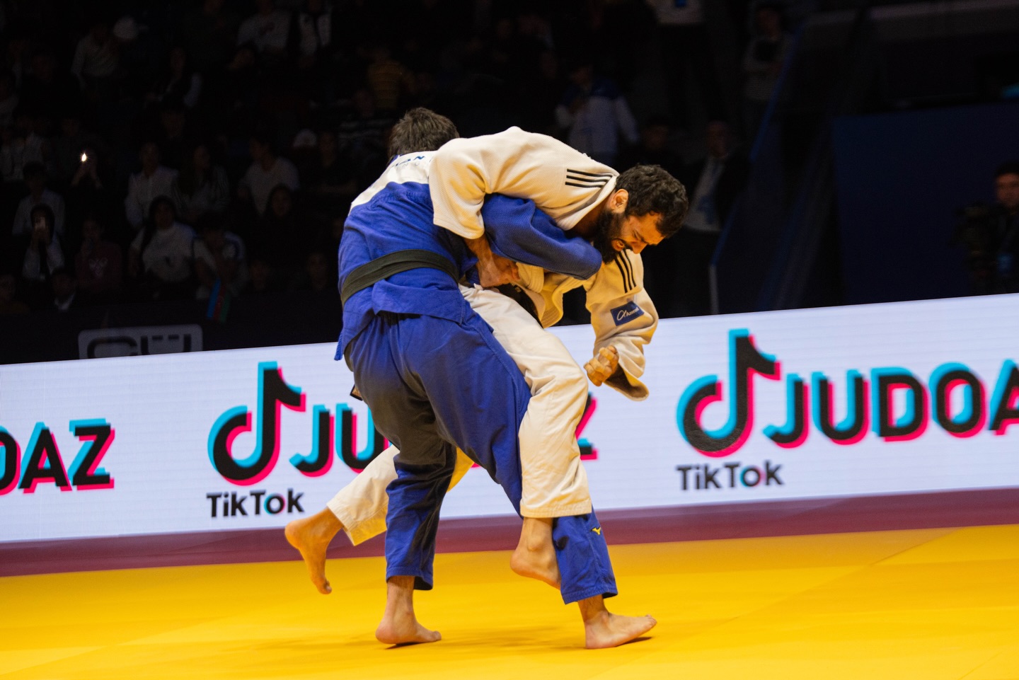 Cüdo üzrə Azərbaycan çempionatında fərdi yarışlara yelun vuruldu