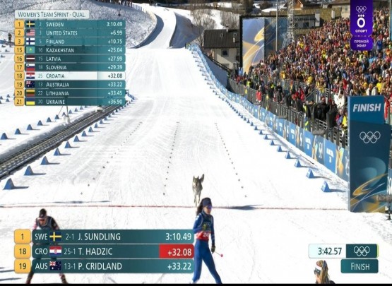 Trek xəttinə tərəf qaçan it fotofinişə düşüb - FOTO