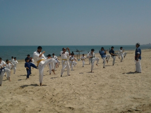 Karateçilərin seminarı olub