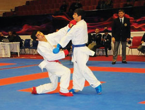 Karateçilərimiz yeni ilin ilk yarışında iştirak edəcəklər